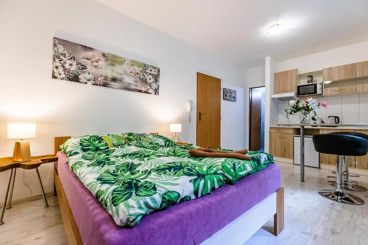 Apartmán Křenka Brno-střed Česká republika